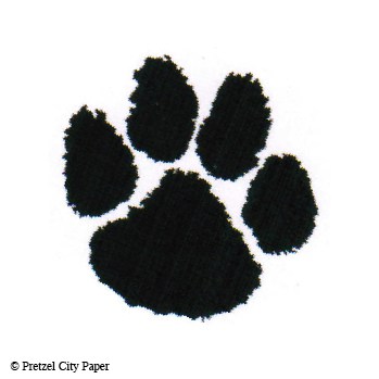 Cat Paw Print Stamp – Snip & Stamp